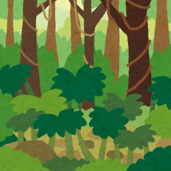 Khái niệm Jungle là gì?