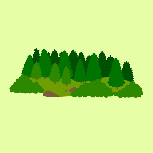 Khái niệm về Forest là gì?