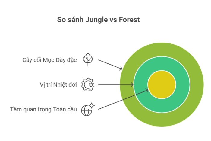 Phân biệt Jungle và Forest trong tiếng Anh