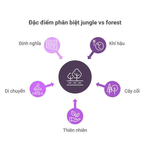 Sự khác biệt giữa jungle và forest