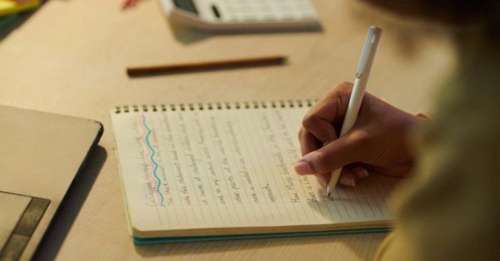 Mẫu dàn ý: Write about your family