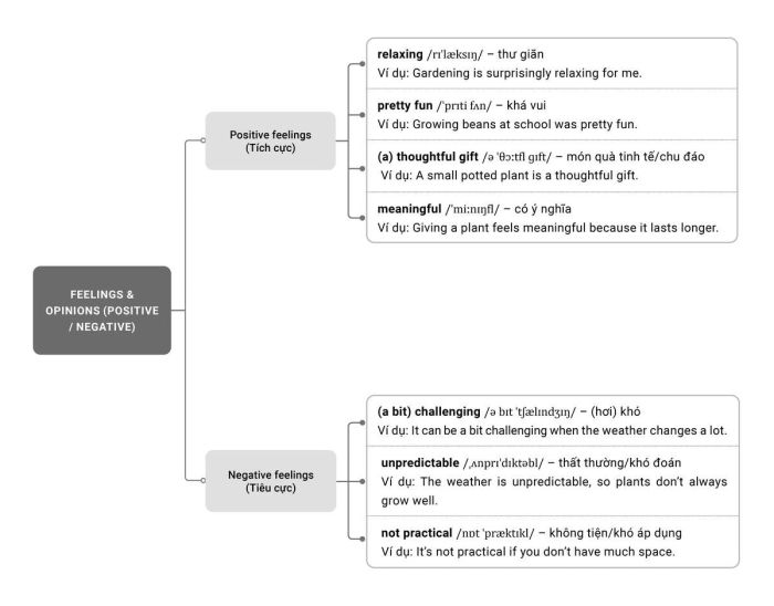 Từ vựng IELTS Speaking Part 1 Chủ đề Growing Plants - Mindmap 2