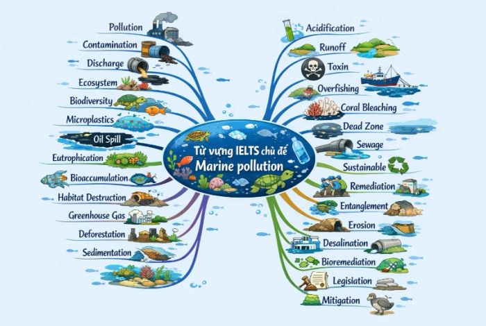 Từ vựng về chủ đề Marine Pollution