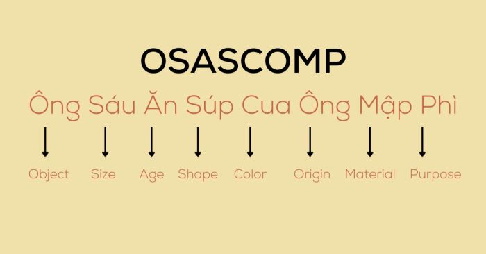 bài tập về thứ tự tính từ