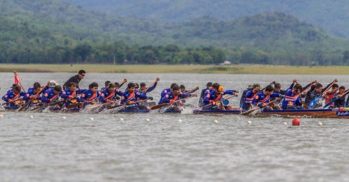 Đoạn văn mẫu số 5