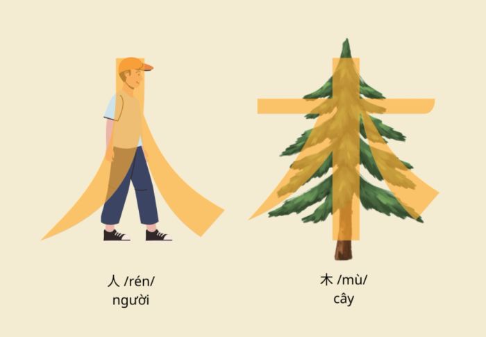 Liên kết trực quan giữa chữ và hình ảnh tương ứng giúp dễ dàng ghi nhớ hơn.