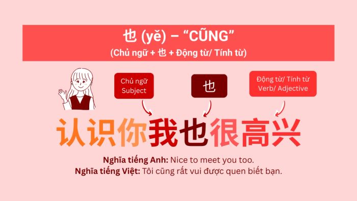 Hướng dẫn sử dụng 也 (yě) – “Cũng” trong tiếng Trung