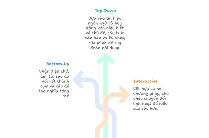 Các kiểu mô hình đọc