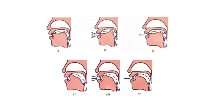 Đặc điểm và cách phân biệt zh–z, ch–c, sh–s