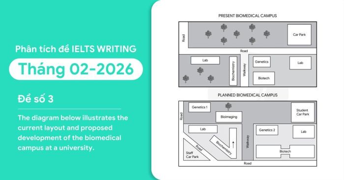 phân tích đề IELTS Writing Task 1 tháng 2/2026 đề số 3