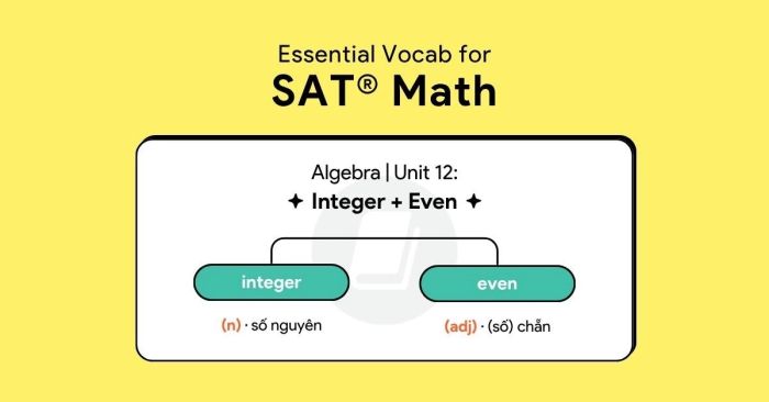 essential vocab for sat math algebra unit 12: integer and even