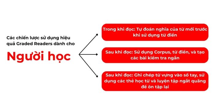 Chiến lược học từ vựng hiệu quả trong quá trình học tập