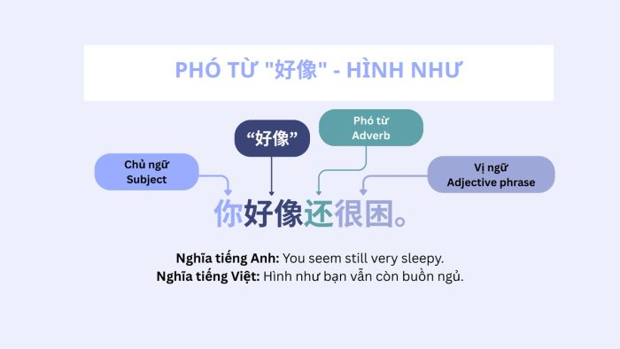 Phó từ