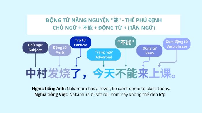 Mẫu cấu trúc phủ định của động từ