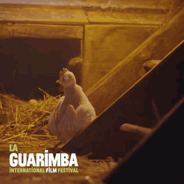GIF Không Hiểu - GIF Bất Ngờ Không Hiểu