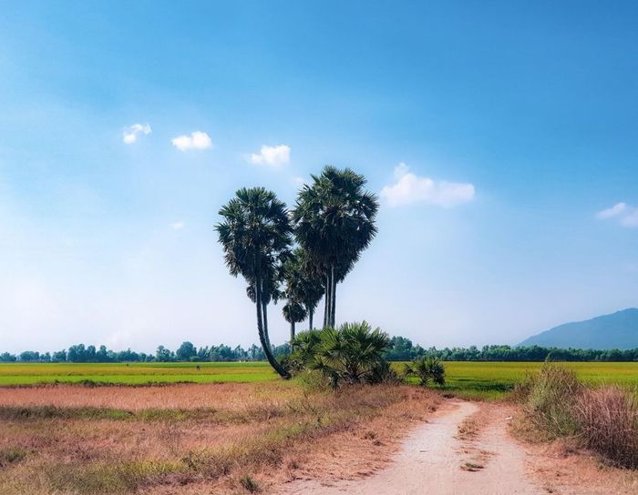 Hành trình một ngày tại An Giang và những hoạt động không thể bỏ lỡ 7