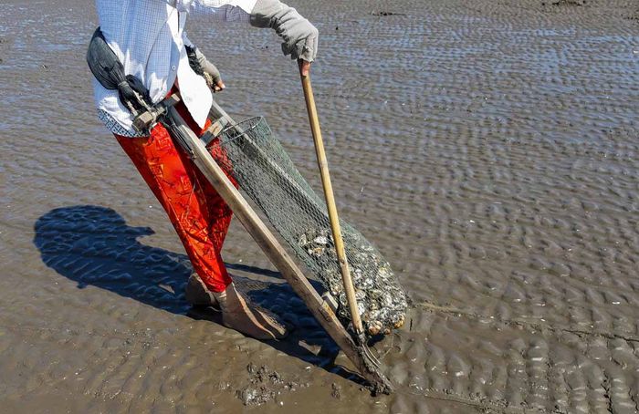 Biển Tân Thành Tiền Giang với sức hút đặc biệt