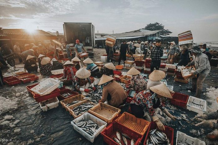 Cuộc sống sáng sớm tại cảng cá Bà Rịa - Vũng Tàu qua ống kính của nhiếp ảnh gia Nguyễn Hoàng Phi 2