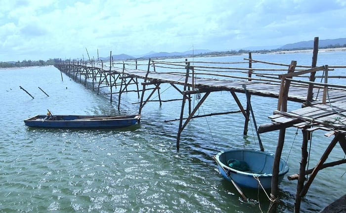 Khám phá cảm giác thú vị trên cây cầu gỗ dài nhất Việt Nam ở Phú Yên 5