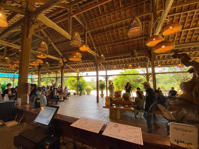 Long Vân Garden Phú Yên - Trầm mình trước vẻ đẹp của Đà Lạt nhỏ bé trong lòng thành phố ven biển 9