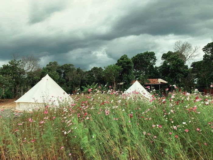 Phú Yên Camping Trip - Nơi đến lý tưởng cho những ai yêu thích mơ mộng 10