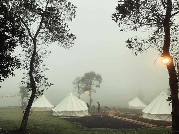Phú Yên Camping Trip - Nơi lý tưởng cho những tâm hồn mơ mộng 3