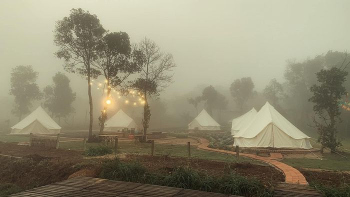 Phú Yên Camping Trip - Nơi lý tưởng cho những tâm hồn mơ mộng 4