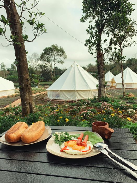 Phú Yên Camping Trip - Nơi lý tưởng cho những tâm hồn mơ mộng 8