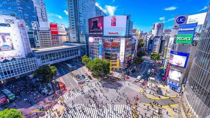 Khi đèn ở Shibuya chưa từng tắt