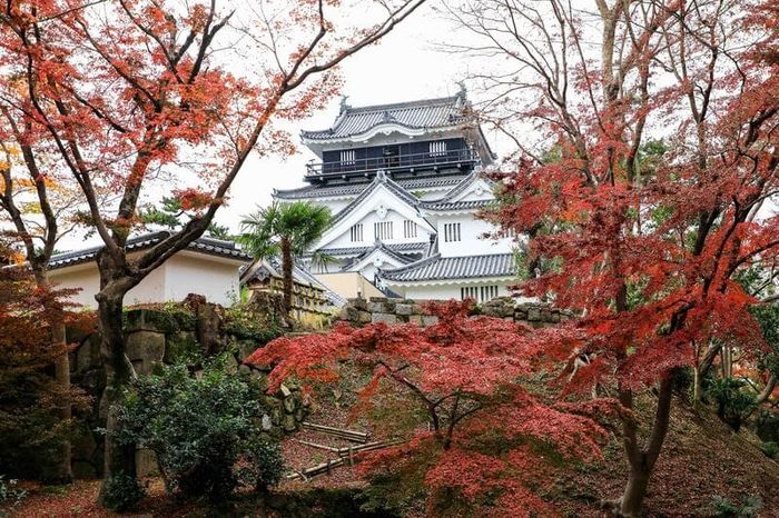 Vùng đất Aichi - nơi bảo tồn di sản lâu đài và samurai tại Nhật Bản