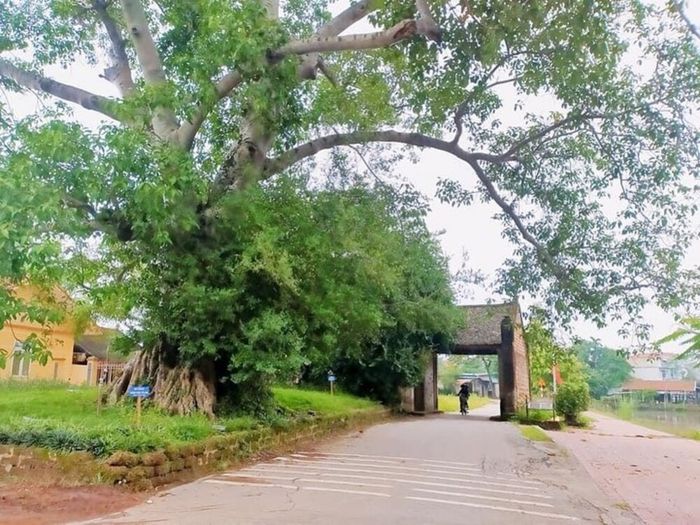 Bí quyết du lịch Làng Cổ Đường Lâm chi tiết nhất