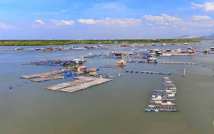 Chia sẻ ngay những kinh nghiệm khám phá đảo Long Sơn Vũng Tàu mà ít người biết đến 2