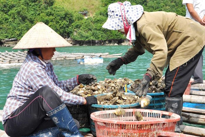 Đừng bỏ lỡ những kinh nghiệm khám phá đảo Long Sơn ở Vũng Tàu mà không phải ai cũng biết 8