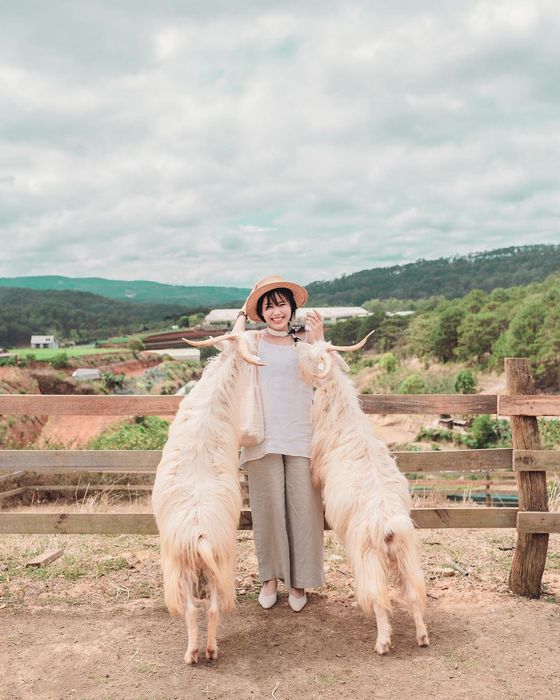 Trải nghiệm cuộc sống nông dân tại Trại Chika Đà Lạt, không góc chết sống ảo châu Âu 15