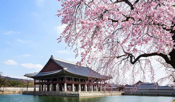 Cung điện Gyeongbokgung, ngọc quý của du lịch Hàn Quốc 12