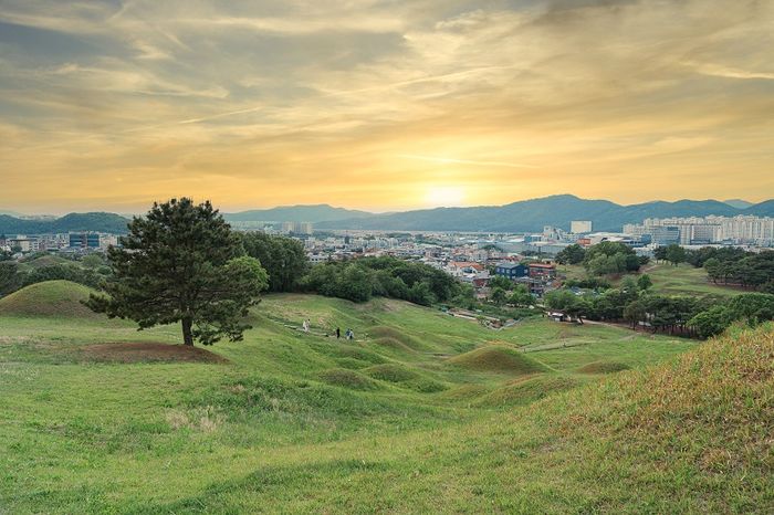 Daegu hiện đại với hơi thở lịch sử và văn hóa Hàn Quốc