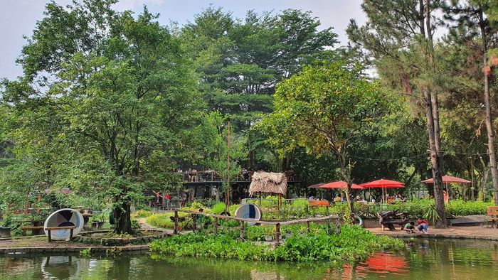 Định Hòa Garden, một không gian thơ mộng như Đà Lạt ngay giữa Bình Dương 6