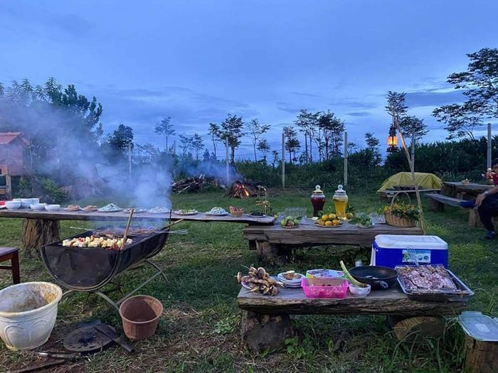 Thăm Vườn cam Orfarm Măng Đen, trải nghiệm làm nông dân thực tế 9