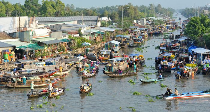 Khám phá Chợ nổi Ngã Năm và cảm nhận không khí sôi động vào buổi sáng.