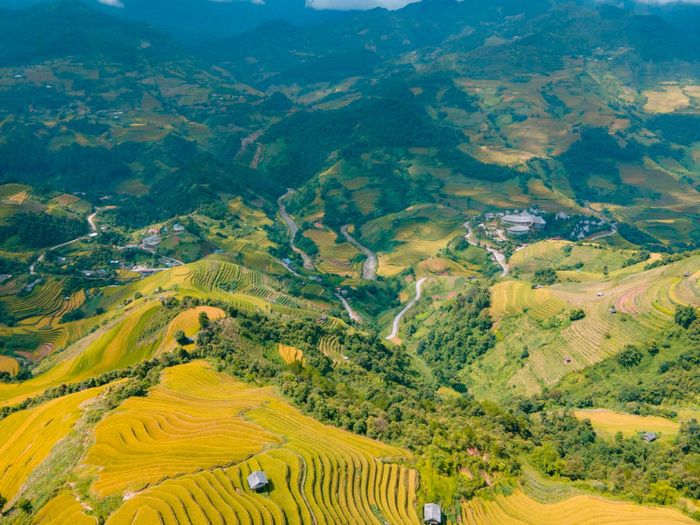 Khám phá Đồi Mâm Xôi Bé trên hành trình du lịch Mù Cang Chải 5