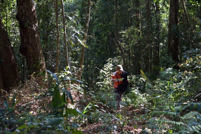 Khám phá hành trình trekking và cắm trại trên núi Ngọc Lễ 4