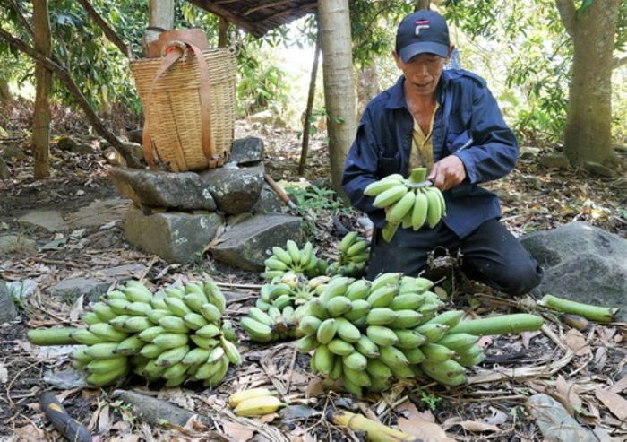 Khám phá Núi Phụng Tây Ninh với nhiều điều thú vị 5