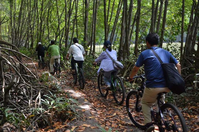 Về với thiên nhiên tại khu du lịch sinh thái Vàm Sát Cần Giờ 17