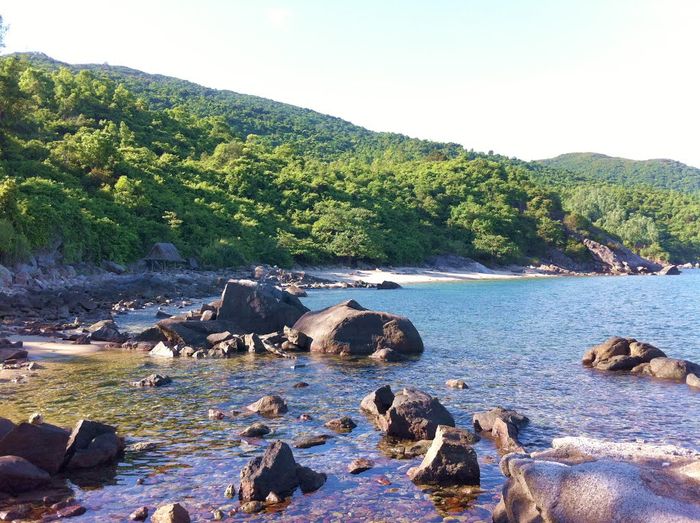 Bạn đã biết những kinh nghiệm quan trọng khi tự túc thăm bán đảo Sơn Trà chưa? 7