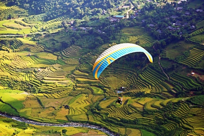 Ghé thăm Làng hoa Hạ Lũng để ngắm nhìn sự phong phú của loài hoa.