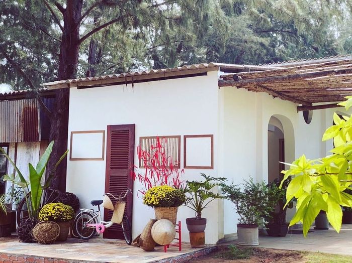 Lịch trình khám phá Cánh đồng cừu và trải nghiệm Zenna Pool Camp trong một ngày đáng nhớ