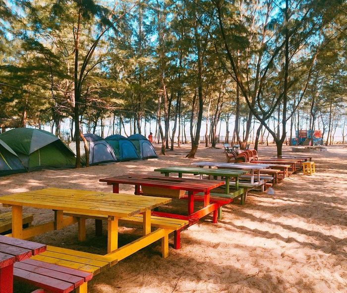 Khám phá chuyến đi Cánh đồng cừu - Zenna Pool Camp trong một ngày đầy hứng khởi