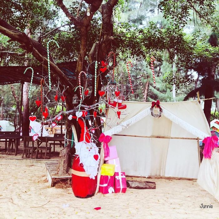 Chương trình khám phá Cánh đồng cừu và trải nghiệm Zenna Pool Camp trong một ngày đầy sôi động