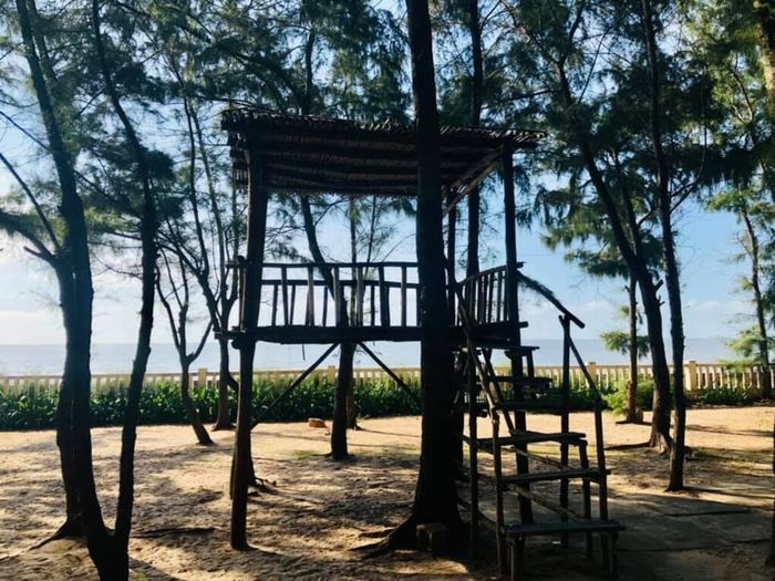 Tham gia lịch trình khám phá Cánh đồng cừu - Zenna Pool Camp trong một ngày tuyệt vời
