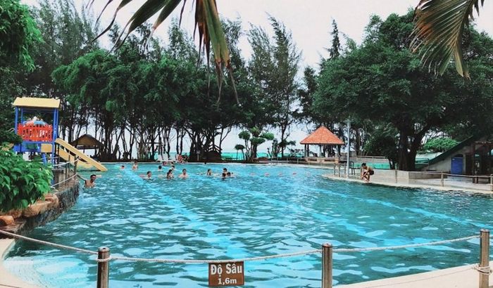 Lịch trình khám phá Cánh đồng cừu - Trại Cừu Zenna Pool suốt 1 ngày